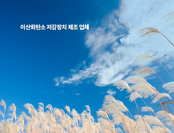 창원홈페이지제작 창원웹 - 이산화탄소 저감장치 제작업체